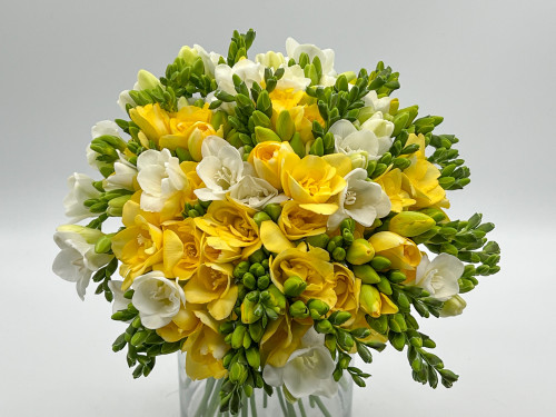 Buchet 75 de frezii albe si galbene